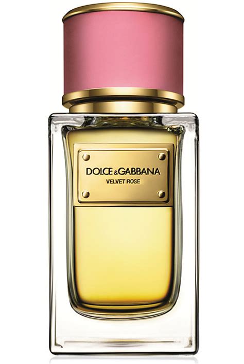 dolce gabbana new perfume mens|dolce gabbana perfume women.